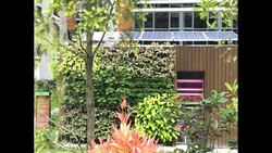 Coco Palms (D18), Condominium #167494822